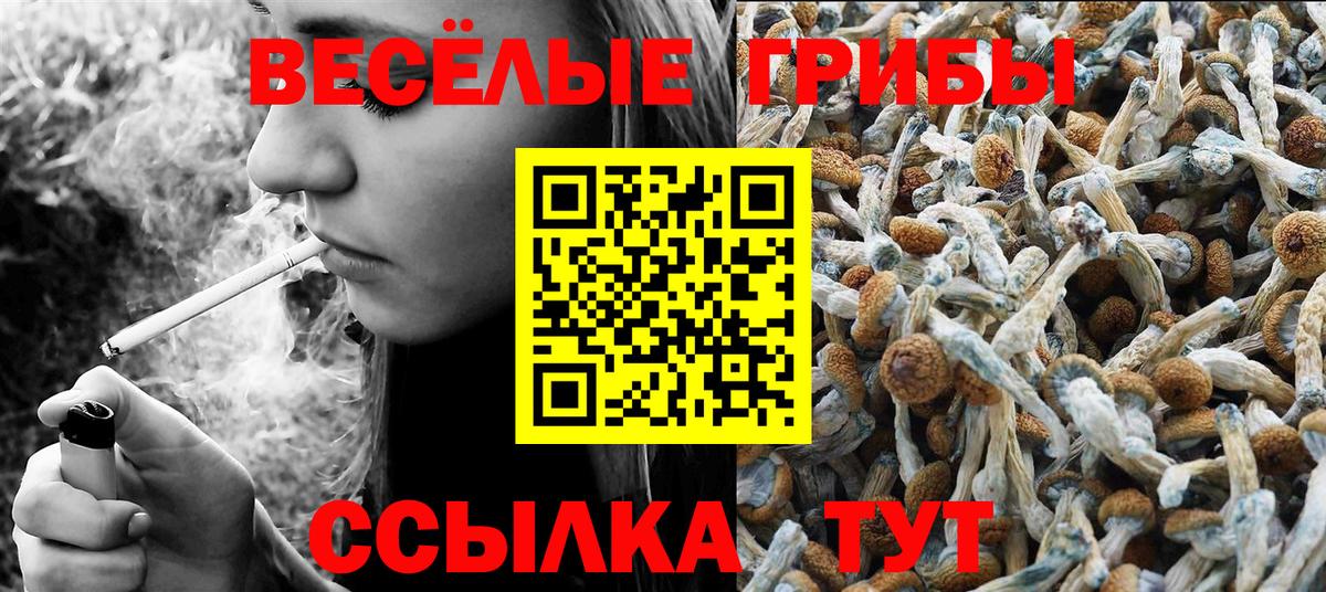 Галлюциногенные грибы мицелий Лабытнанги
