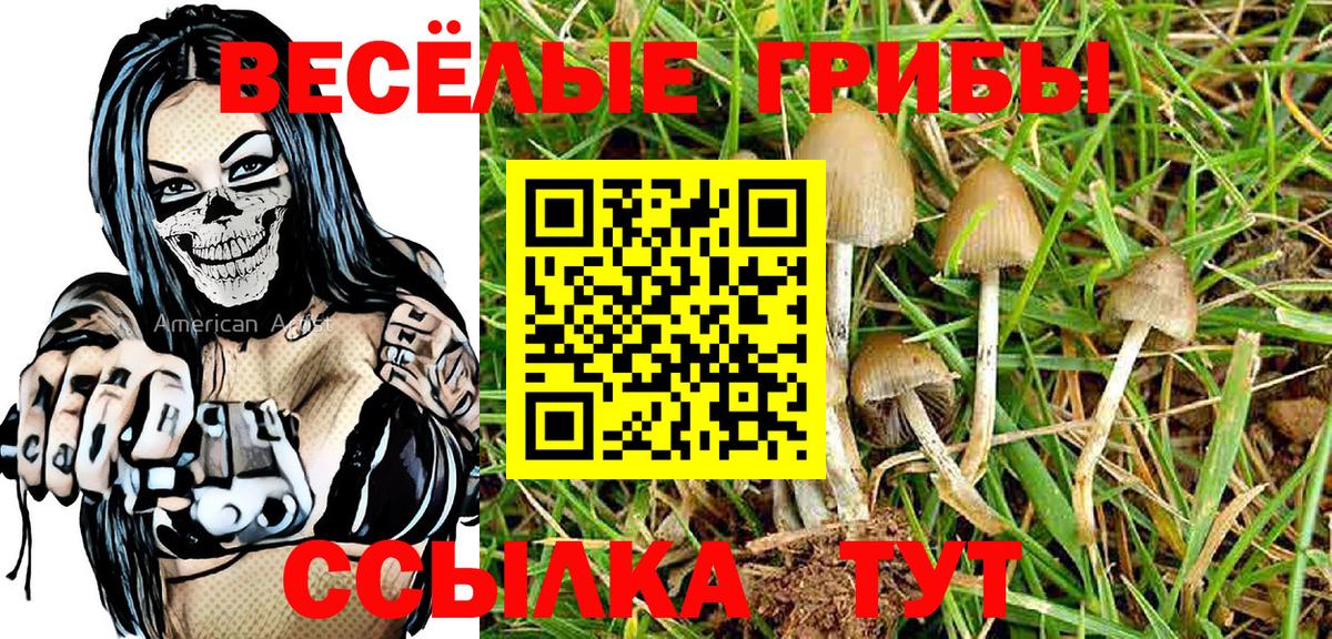 Лабытнанги  Галлюциногенные грибы MAGIC MUSHROOMS  Вход с VPN 